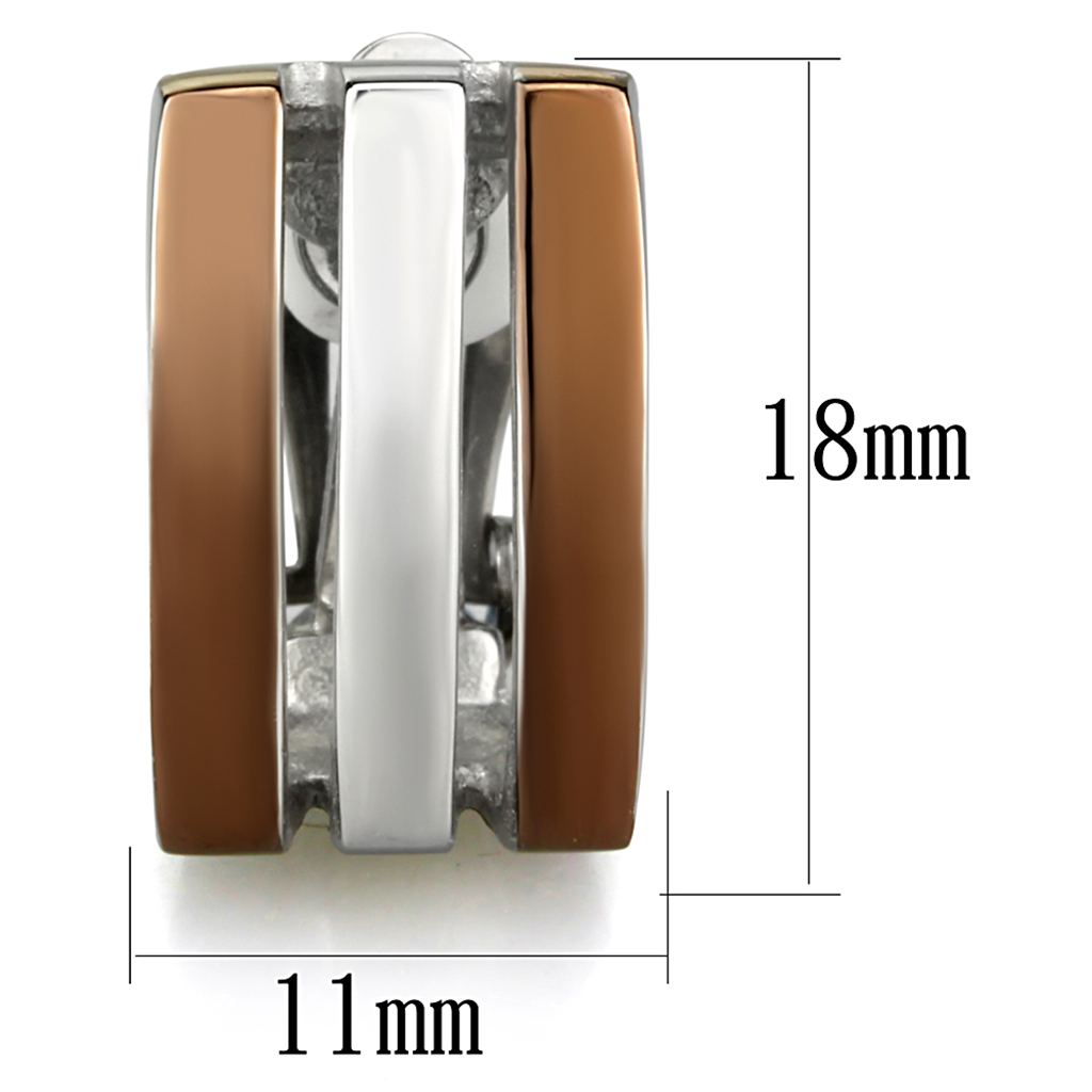 CJE2542 Wholesale Women's Stainless Steel Brown and White Earrings