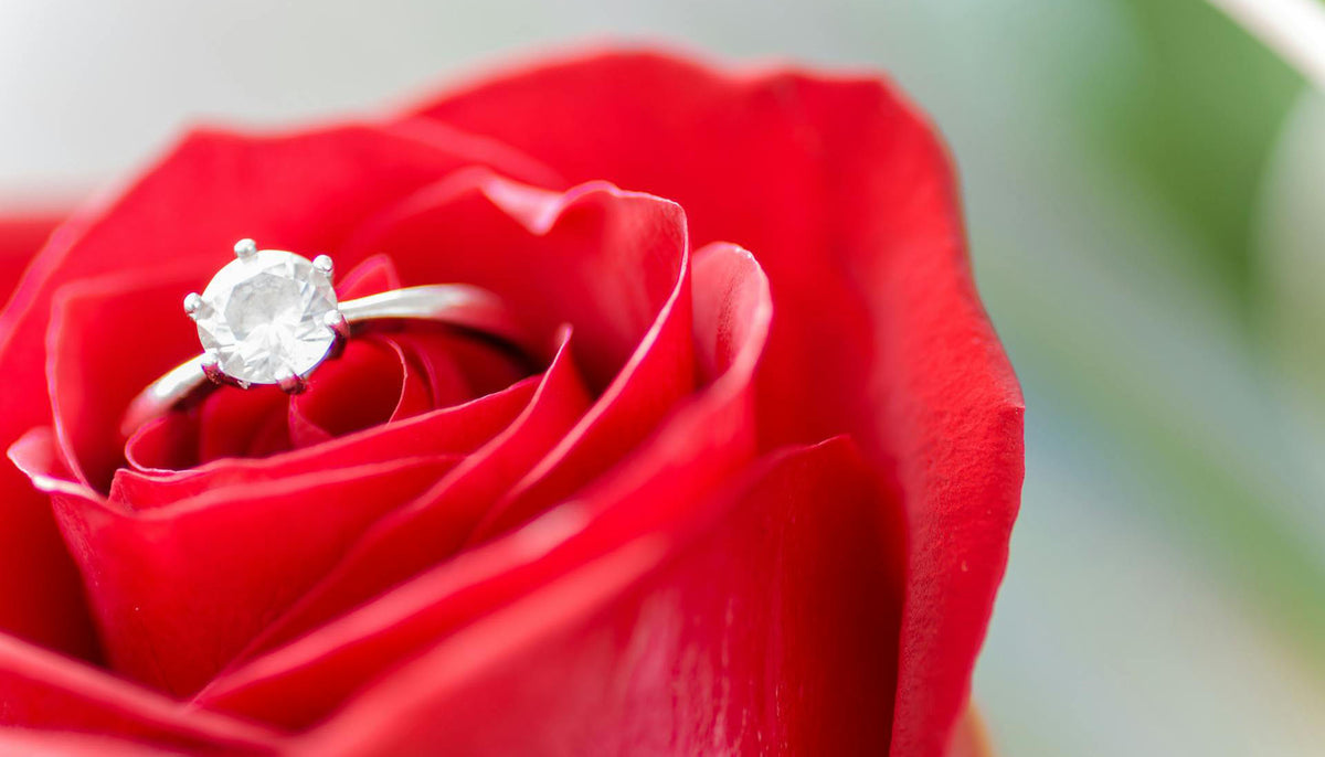 cz fashion ring on top of a red rose