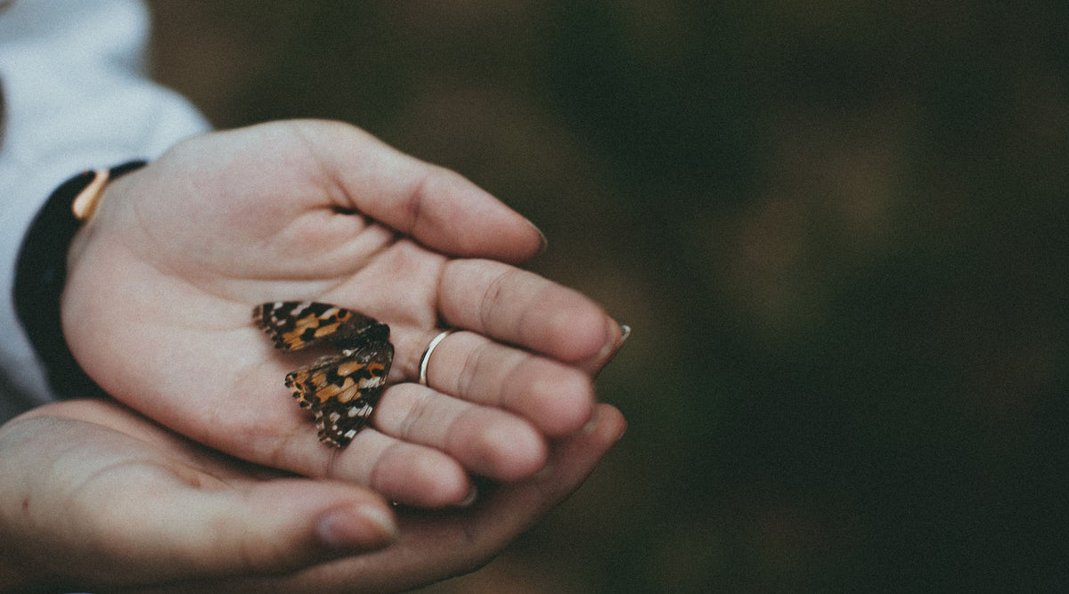woman wearing a fashion ring with her palms up holding a butterfly